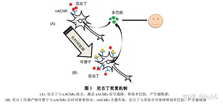 电子烟和香烟,到底哪个危害更大?(图3)