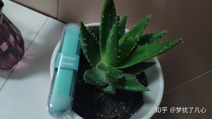 随时随地，想来就来一口的瓦拉丁即抛型雾化棒和电子雾化烟套装横向评测(图5)