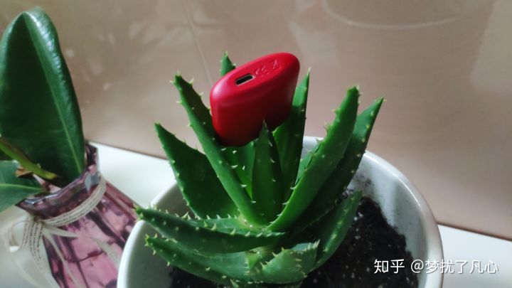 随时随地，想来就来一口的瓦拉丁即抛型雾化棒和电子雾化烟套装横向评测(图11)