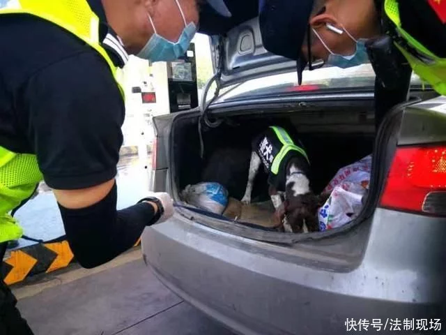 “上头”烟油实为新型毒品!2021年上海警方共侦破涉毒案件700余起(图3)