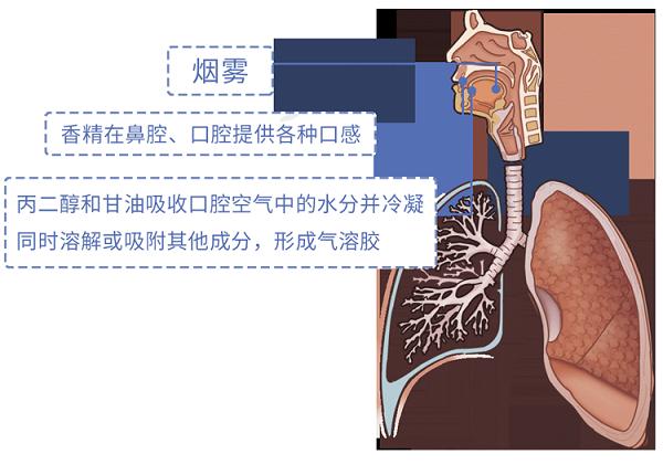 又一个骗局:电子烟的危害,真的比传统烟草大?造谣式科普不可取(图10)