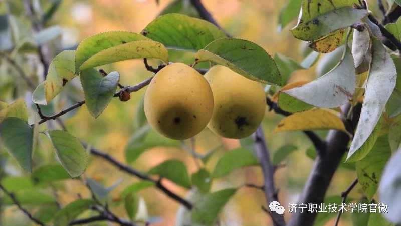我们和济职浪漫的“一二三四”(图9)