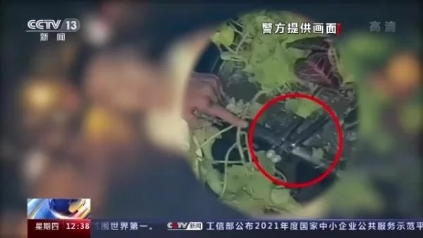 “合法上头”还是新型毒品?警惕神秘“上头电子烟”(图4)