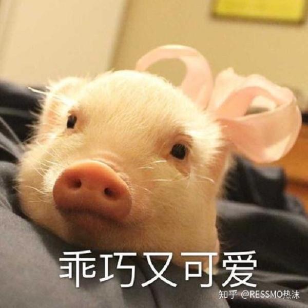为啥线上不卖电子烟了?(图2)