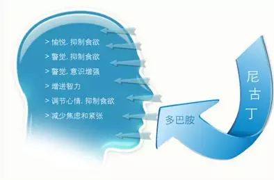 蒸汽烟的前世今生！(图8)
