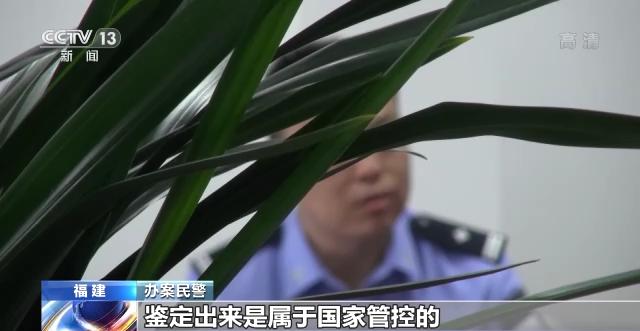 “上头”电子烟是毒不是烟!福建厦门警方破获一起跨省贩毒案(图4)