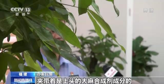 “上头”电子烟是毒不是烟!福建厦门警方破获一起跨省贩毒案(图12)