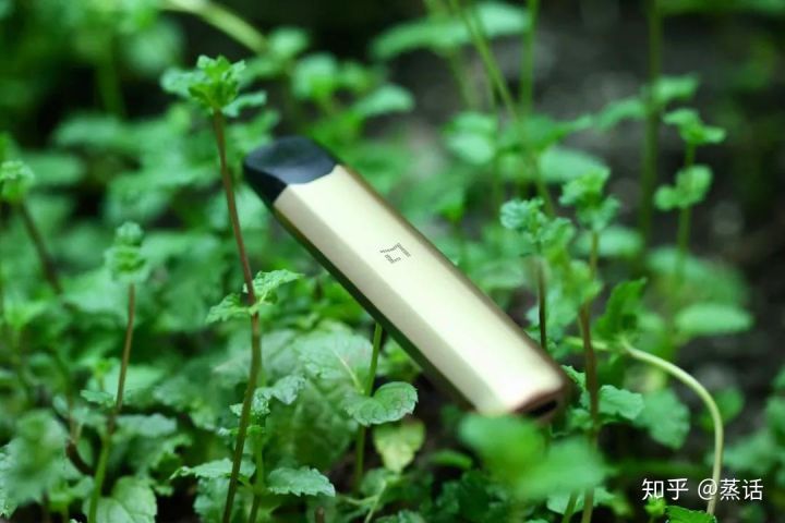 LAMI徕米电子烟正式预售,一款电子烟强不强?拿薄荷味道比一比(图16)