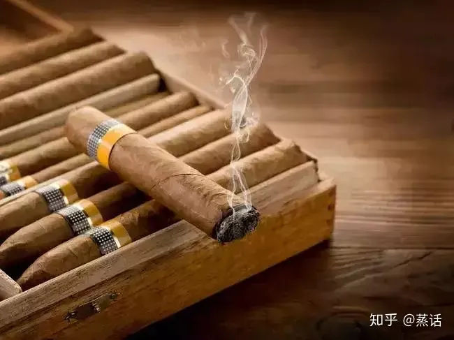 传统烟草、电子烟、加热不燃烧烟草的商品归类与物品归类！(图6)