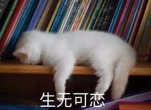 有没有不怎么伤身体的电子烟？(图10)