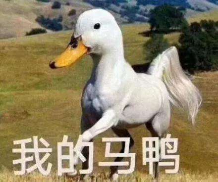 有没有不怎么伤身体的电子烟？(图9)