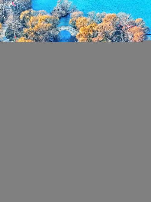 1月7日最佳情报(图7)