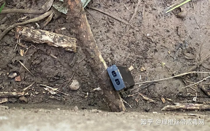 检测非法电子烟烟油中的毒品(图3)