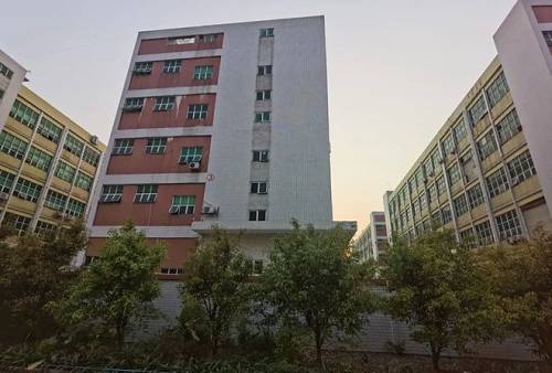 新政下的“深圳雾谷”：摇摇欲坠的电子烟王国(图3)