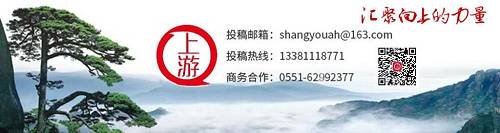 wdg购买渠道的简单介绍-第2张图片-新品图解