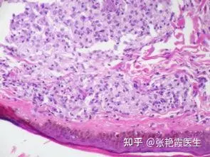 年轻女性吸电子烟真的对身体没影响吗?(图2)