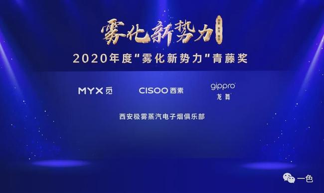 雾化新势力电子雾化行业2020年度颁奖盛典暨VAPE时尚大典圆满落幕(图23)