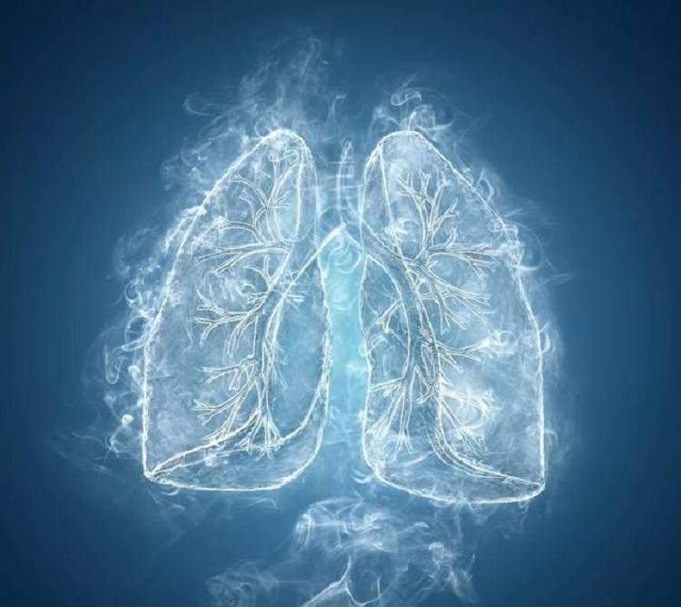 研究电子烟危害的目标