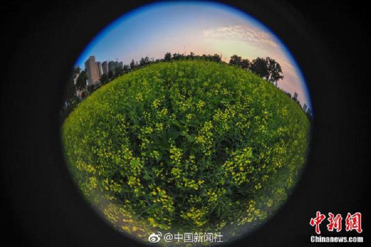 爱卓电子烟官网