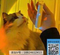 绿箩电子烟有哪些？绿箩推荐口味
