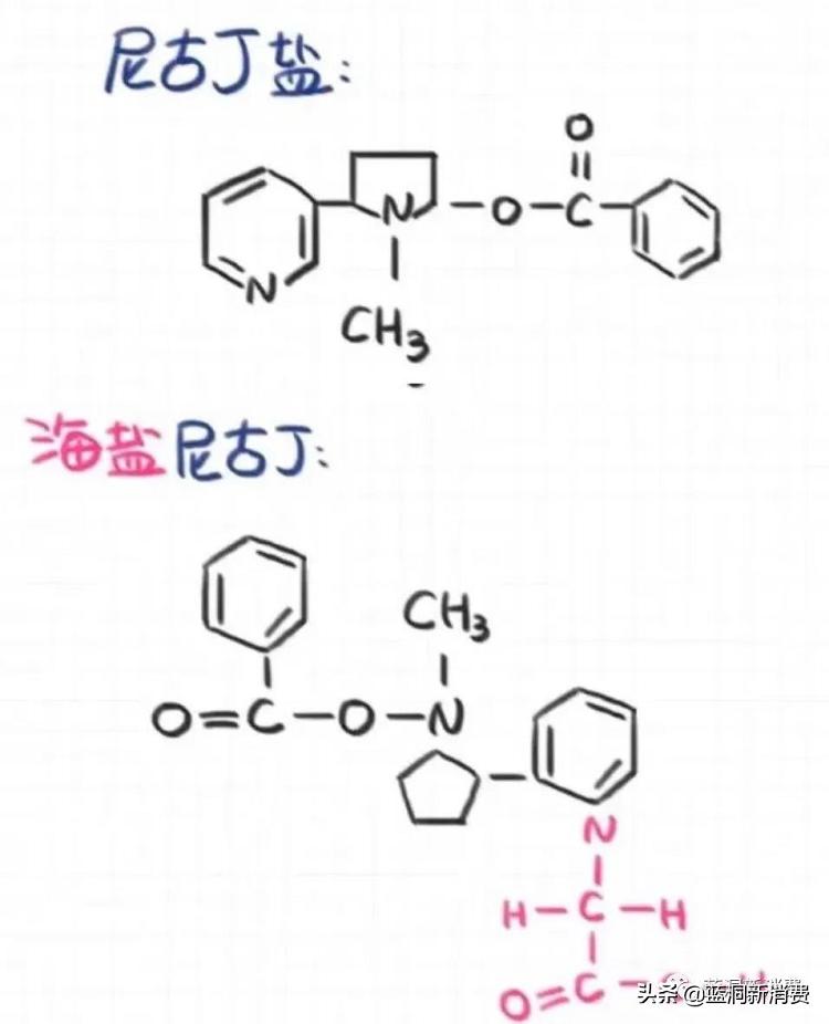 铂德换弹新品蒲公英测评_应用海盐尼古丁新技术