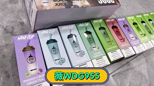 wdg奶茶杯口味测评王童童，wdg奶茶杯口味测评